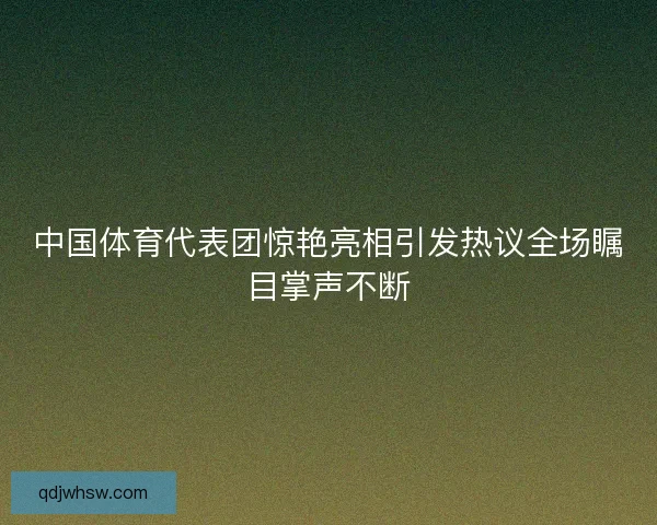 中国体育代表团惊艳亮相引发热议全场瞩目掌声不断